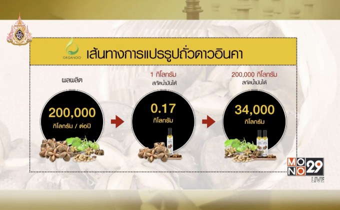 Next Millionaire ธุรกิจพิชิตรวย ตอน : “ORGANOID” ยกระดับสินค้าเกษตรสู่ผลิตภัณฑ์สุขภาพส่งออก