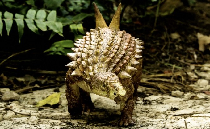 พบไดโนเสาร์สายพันธุ์เก่าแก่สุดในเม็กซิโก