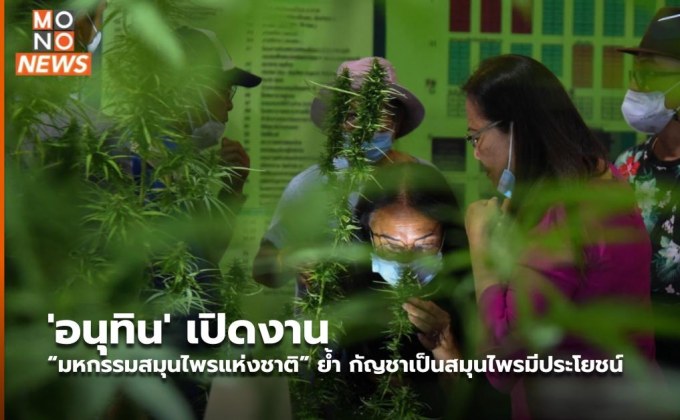 ‘อนุทิน’ เปิดงาน “มหกรรมสมุนไพรแห่งชาติ” ย้ำ กัญชาเป็นสมุนไพรมีประโยชน์