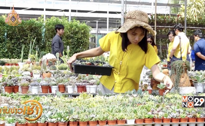 ยกระดับท่องเที่ยวจ.เลย ด้วยการพัฒนาเกษตรอินทรีย์