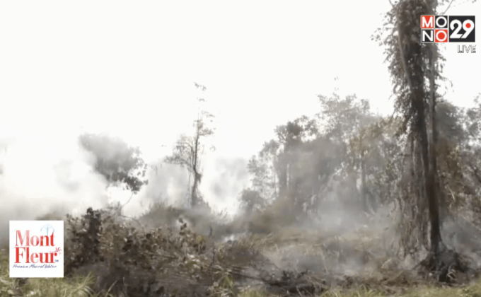 ไฟป่าลุกลามใกล้ชุมชนปอเนาะ จ.นราธิวาส