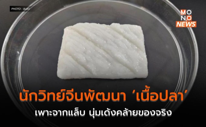 นักวิทย์จีนพัฒนา ‘เนื้อปลา’ เพาะจากแล็บ นุ่มเด้งคล้ายของจริง