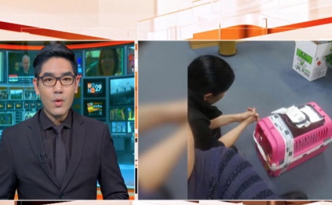 ชี้แจงเหตุสุนัขหลุดในสนามบินอินชอนถูกยิงตาย