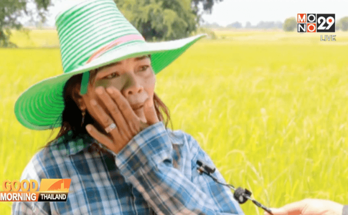 ชาวนาพระนครศรีอยุธยา เรียกร้องรัฐช่วยเหลือไม่มีน้ำใช้