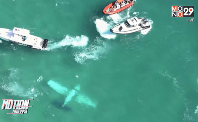 เครื่องบินเล็กตกนอกชายฝั่งสหรัฐฯ