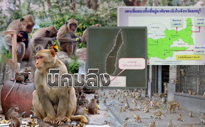 นิคมลิง 17-05-61