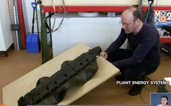 ​หุ่นยนต์สะเทิ้นน้ำสะเทิ้นบก