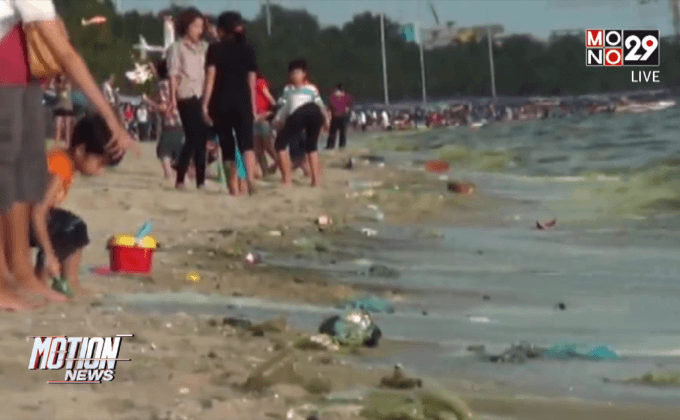 เกิดปรากฎการณ์แพลงตอนบูมชายหาดบางแสน