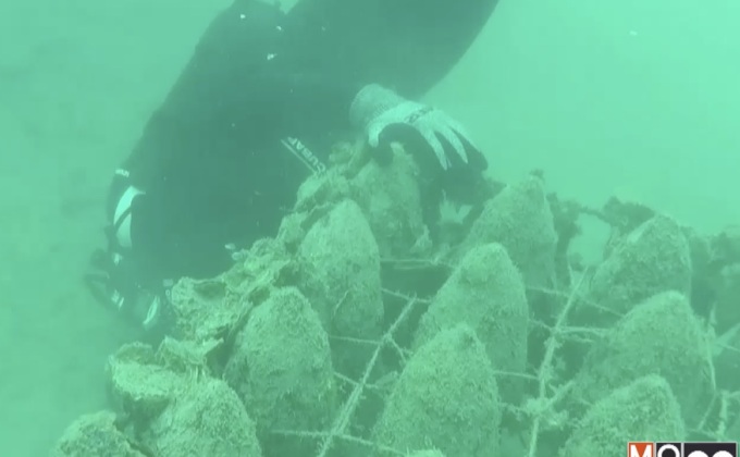 “บ่มไวน์ใต้ทะเล” วิธีรักษารสชาติไวน์สุดปราณีต