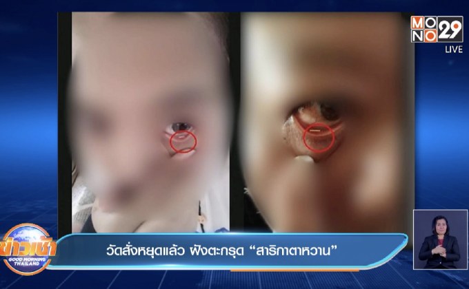 วัดสั่งหยุดแล้ว ฝังตะกรุด “สาริกาตาหวาน”