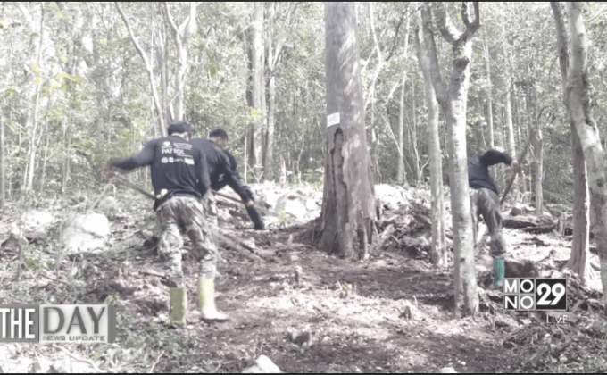 เตรียมบวงสรวงตัดไม้จันทน์หอมป่ากุยบุรี