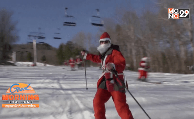 จิ้งจอกสยามแต่งแฟนซีฉลองคริสต์มาส