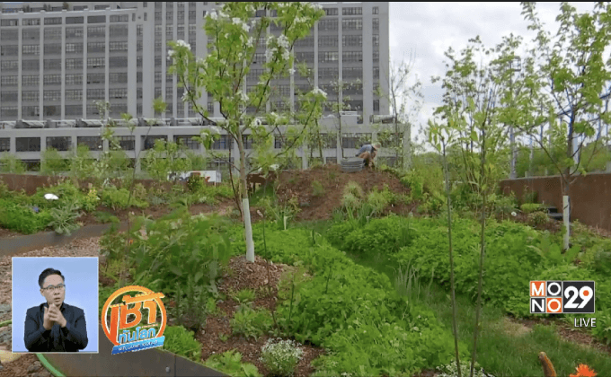 สวนผัก-ผลไม้ลอยน้ำในสหรัฐ