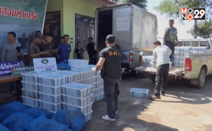 ตรวจยึดเต่า-งูหายาก จ.หนองคาย