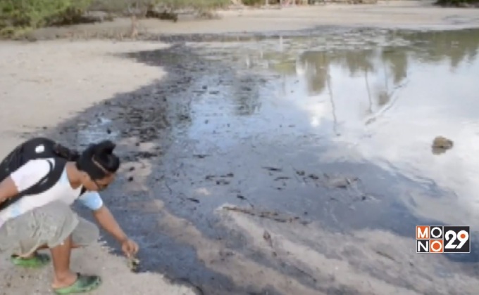 พบคราบน้ำมันชายหาดเกาะพะงัน