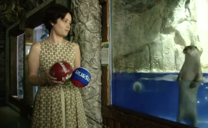 ​นากพยากรณ์ในรัสเซียทำนาย “รัสเซีย” จะพ่าย “อุรุกวัย”