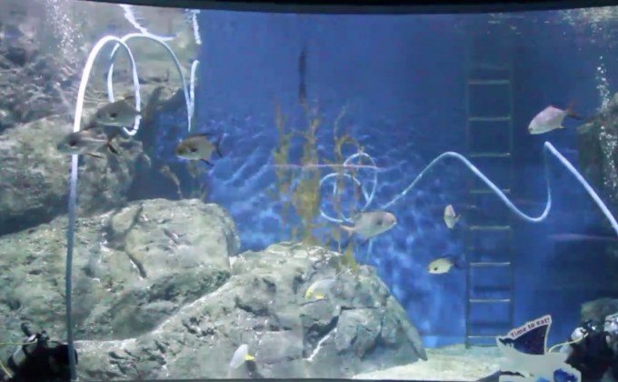 SEA LIFE Bangkok เผยคลิปการทำความสะอาด ระหว่างปิดให้บริการ