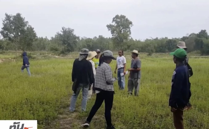 ชาวไร่อ้อยเรียกร้องสร้างโรงงานน้ำตาล จ.อำนาจเจริญ