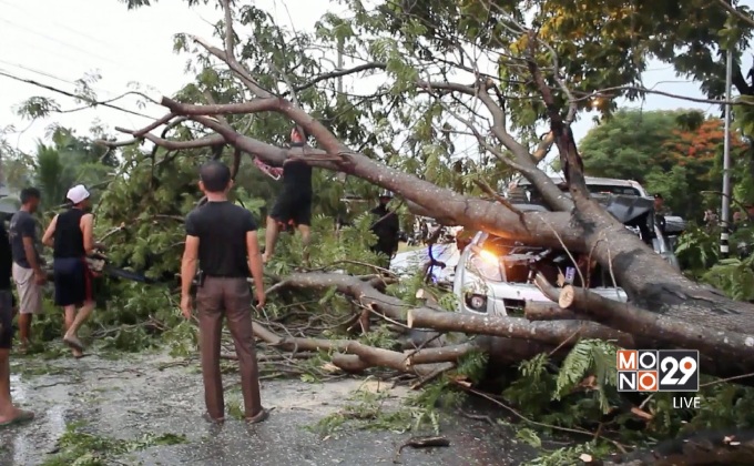พายุพัดต้นไม้ใหญ่ล้มทับรถกระบะ จ.ราชบุรี