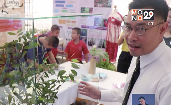 มช.ค้นพบ พืชชนิดใหม่ของโลก “พรหมจุฬาภรณ์”