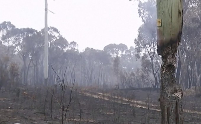 ออสเตรเลียเริ่มประเมินความเสียหายจากไฟป่า