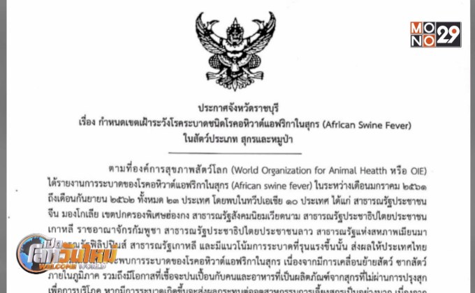 ราชบุรีประกาศเฝ้าระวังโรค “ASF” ทั้งจังหวัด