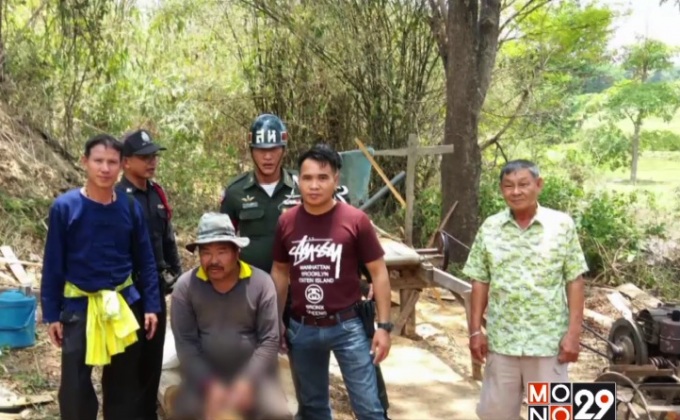 ทลายแก๊งตัดไม้-แปรรูปกลางป่า ผญบ.หัวโจกหนีหวุดหวิด