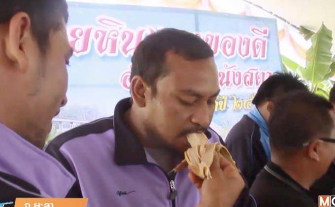สุดคึกคัก แข่งกินกล้วยหินต้มของดีบันนังสตา