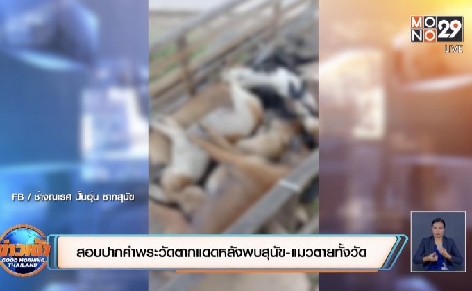 เชิญพระสงฆ์วัดตากแดดไปสอบปากคำหลังพบสุนัข-แมวตายทั้งวัด