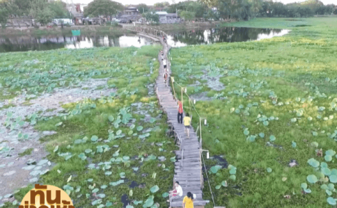 แห่เที่ยวสะพานไม้แกดำรับลมหนาว