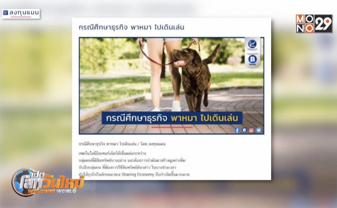 กรณีศึกษาธุรกิจพาหมาไปเดินเล่น