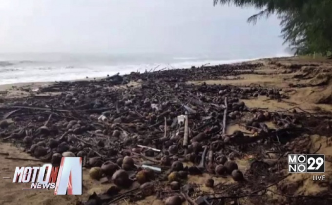 ขยะหาดบ้านกรูด จ.ประจวบฯ ส่งกลิ่นเหม็นหลังน้ำลด