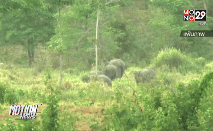 เติมน้ำให้สัตว์ป่าช่วงฤดูแล้ง