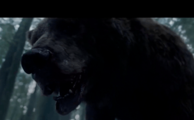 เผยโฉมหน้าที่แท้จริง หมีป่าที่ฟัด “ลีโอนาร์โด ดิคาปริโอ” ปางตาย