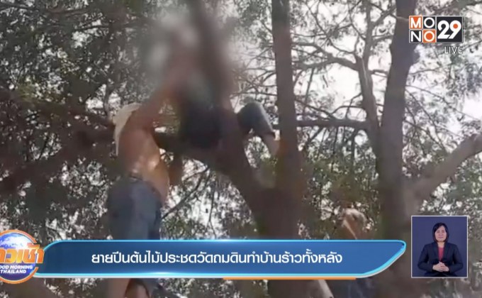 ยายปีนต้นไม้ประชดวัดถมดินทำบ้านร้าวทั้งหลัง