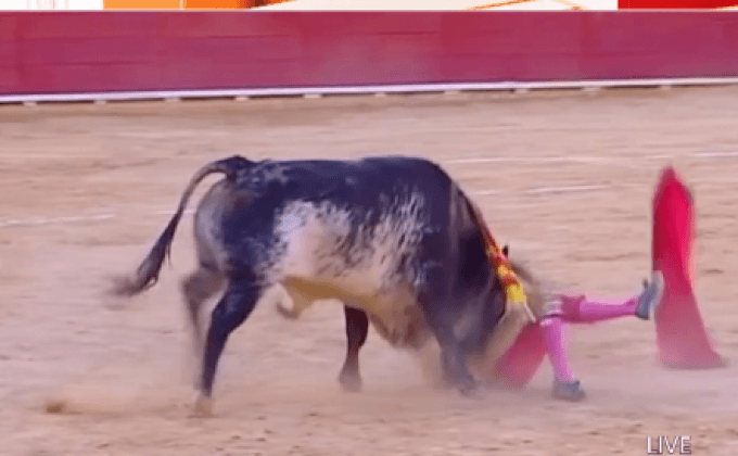 กระทิงขวิดมาทาดอร์ดับคาสนามที่สเปน