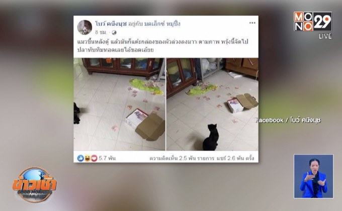 สาวโพสต์ตบรางวัลแมวแสนรู้ เจอที่ซ่อนเงินสามี