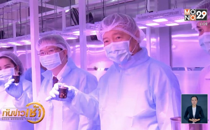 เปิดศูนย์เพาะกัญชาทางการแพทย์แห่งแรกในอาเซียน