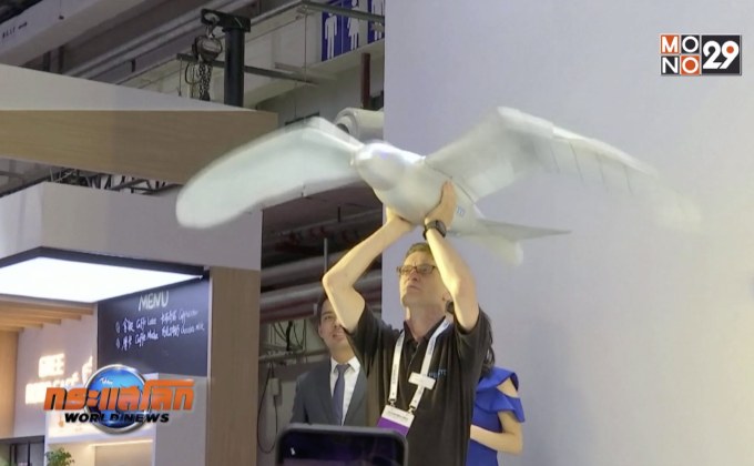 จีนพัฒนาหุ่นยนต์นก