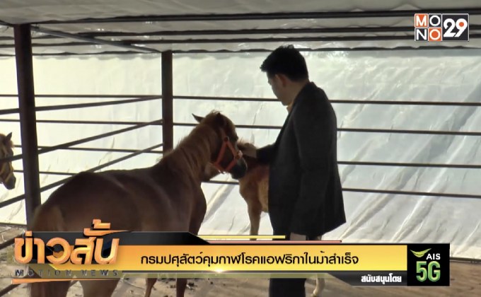 กรมปศุสัตว์คุมกาฬโรคแอฟริกาในม้าสำเร็จ