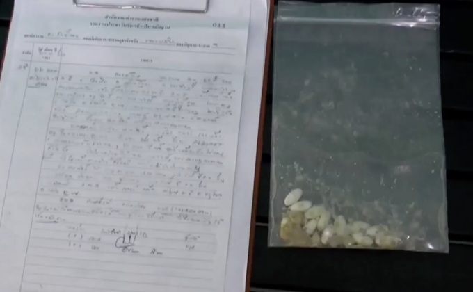 เตรียมออกหมายเรียกนักศึกษาแพทย์วางยาสุนัข