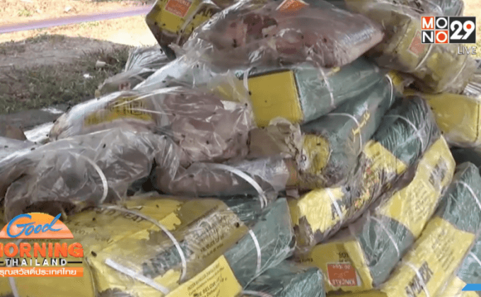 กองทัพมด ลอบขนเนื้อเถื่อนทะลักชายแดน