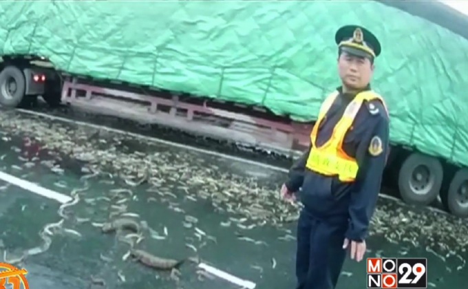 รถบรรทุกปลาพลิกคว่ำในมณฑลอานฮุยของจีน