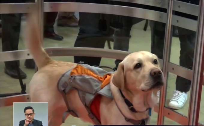 เทคโนโลยีตรวจสอบอารมณ์สัตว์เลี้ยง