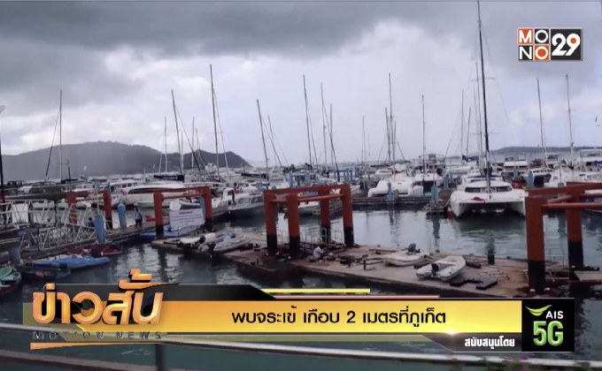 พบจระเข้ เกือบ 2 เมตรที่ภูเก็ต