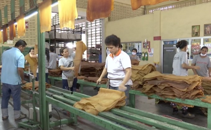 กนย.เห็นชอบมาตรการแก้ไขปัญหาราคายาง