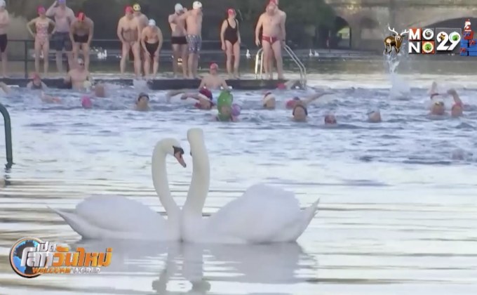 ว่ายน้ำท้าความหนาวคริสต์มาส