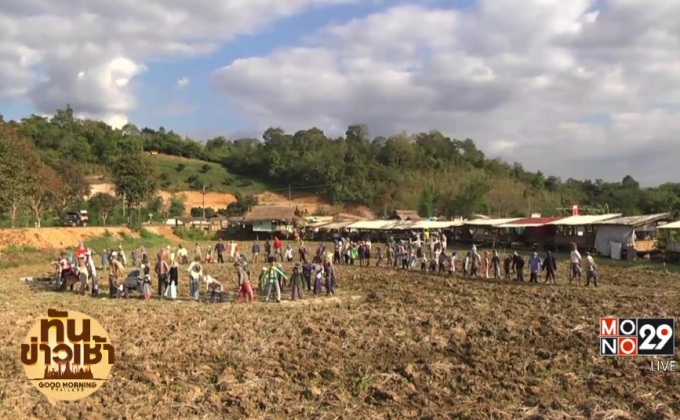 ชาวบ้านนำหุ่นไล่กา 189 ตัว แปรอักษรเลข ๙ กลางทุ่งนา