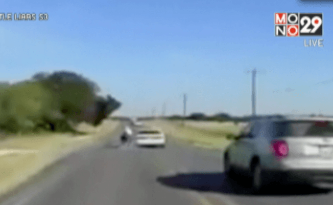 ขับรถชนมอเตอร์ไซค์เพราะโดนแมลงกัด