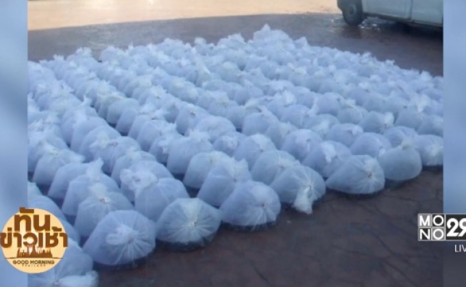 จ.แพร่ มอบพันธุ์ปลานิลพระราชทาน